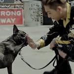 BaDuc_as_DaeGil - @earl_germany - Instagram