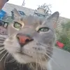 Earl_king - @earl_thy_goat - TikTok