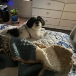 Earl Gingerich - @earlgingerich1934 - Instagram