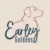 EarleyGoldens - @earley_goldens - TikTok