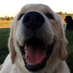 earlthegolden - @earlthegolden - Instagram