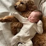 Arlo P Gower - @arlopbarlo - Instagram
