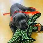 Grayson Earl Bjorn - @grayson_earl_bjorn - Instagram