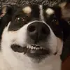 Grayson Earls - @grayson.earls - TikTok