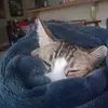 graciecakes2 - @earl_greyce - TikTok