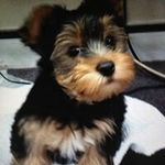 Earl Grenfell - @earlgrenfell - Instagram