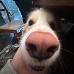 @earl.grenier7 - Instagram