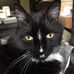 Earl Grimm - Facebook