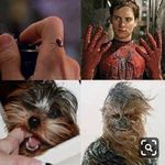 Earl gross - @earlgross88 - Instagram