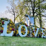 Chestnut Grove Baptist Church - @chestnutgrove_earlysville - Instagram