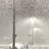 Hale Earl - @hale.earl - TikTok