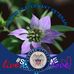 Earlene Halstead - Facebook