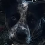 Henry Earl Hancock - @mr_henryearl - Instagram