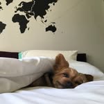 earl handerhan - @earlhanderhan - Instagram