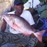 earl harding - @earlfishanyweather - Instagram