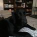 Earl Harrell - Facebook