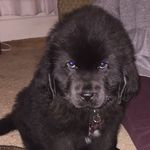 Duncan Earl Of Heldtogether - @duncanearlheld - Instagram