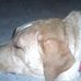 Earl Hendrickson - Facebook