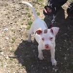 Earl Henson - @hensongirl26 - Instagram