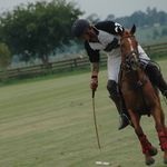 Earl Herbert - @herbert_earl - Instagram