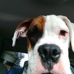 Earl Herbert - @eherbert4 - Instagram