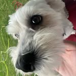 @earlherbert12345 - Instagram