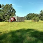 Earl Herrington - @earlherrington - Instagram