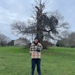 Sam Earl-Hollis - @sam.the.signwriter - Instagram
