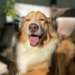 Greogory Earl Jensen - @gregtheaussie - Instagram