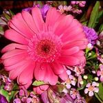 Earl Joyner - @_datboye_ - Instagram