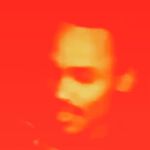 Earl Julius - @tarantula_spinnekoppe_ - Instagram