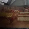 Earl Key - @earl.key - TikTok