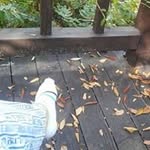 Earl Kim - @remonsojoo - Instagram