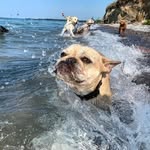 Earl kipp - @earlkpp - Instagram