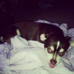 Earl Kirkpatrick - @roxieldsmen - Instagram