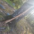 Earl Knox - Facebook