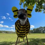 Earl kochel - @earl.kochel - Instagram
