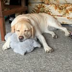Earl Kocher - @earlkocher1970 - Instagram
