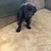 Earl Koster - Facebook