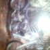 Earl Kruse - Facebook