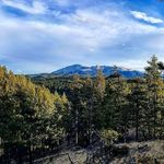 Earl lamb - @the_true_colorado_life - Instagram