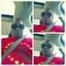 Earl Landers - Facebook