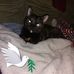 Earla Lanier - Facebook