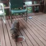 Earl Lasley - @earllasley - Instagram