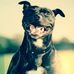 Earl Layton - Facebook