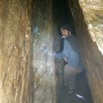 Earl Layton - @earl_layton - Instagram