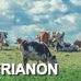 EARL LE Trianon - Facebook