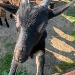 EARL le vignaudet - @earllevignaudet - Instagram