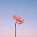 Earll Earll - Facebook