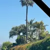 earlleighton993 - @earlleighton993 - TikTok